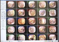 ファイリングシステム