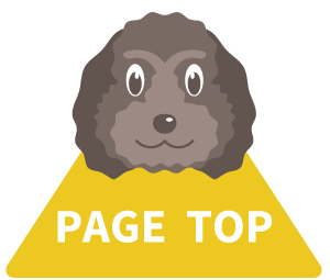 PAGE TOPへ戻る