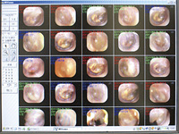 ファイリングシステム