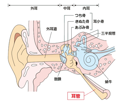 耳管狭窄症、耳管炎