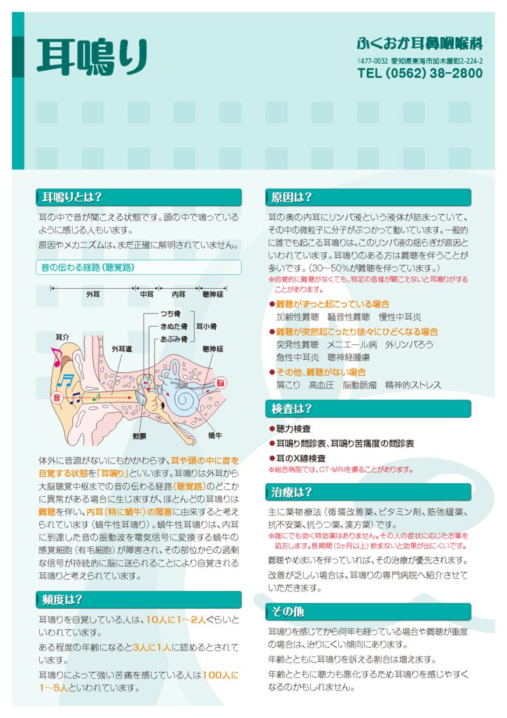 耳鳴り 健康のための説明書 愛知県東海市の耳鼻科 ふくおか耳鼻咽喉科 耳 鼻 のどに関する治療