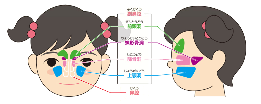 医師の診察を受ける時期