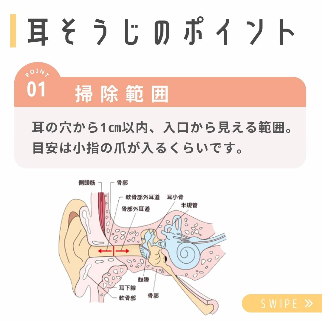 耳そうじ